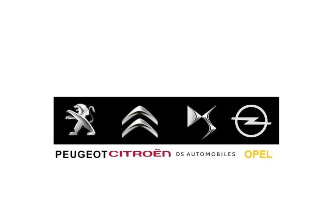 Peugeot Citroen DS Opel DiagBox Lexia Diagnosegerät Tester 2024 PSA