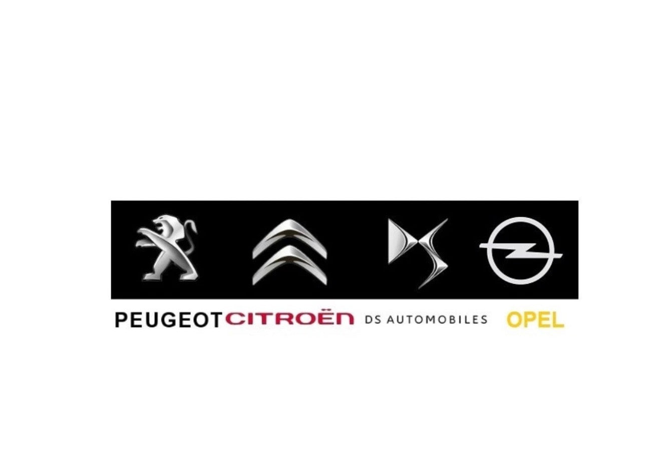 Peugeot Citroen DS Opel DiagBox Lexia Diagnosegerät Tester 2024 PSA